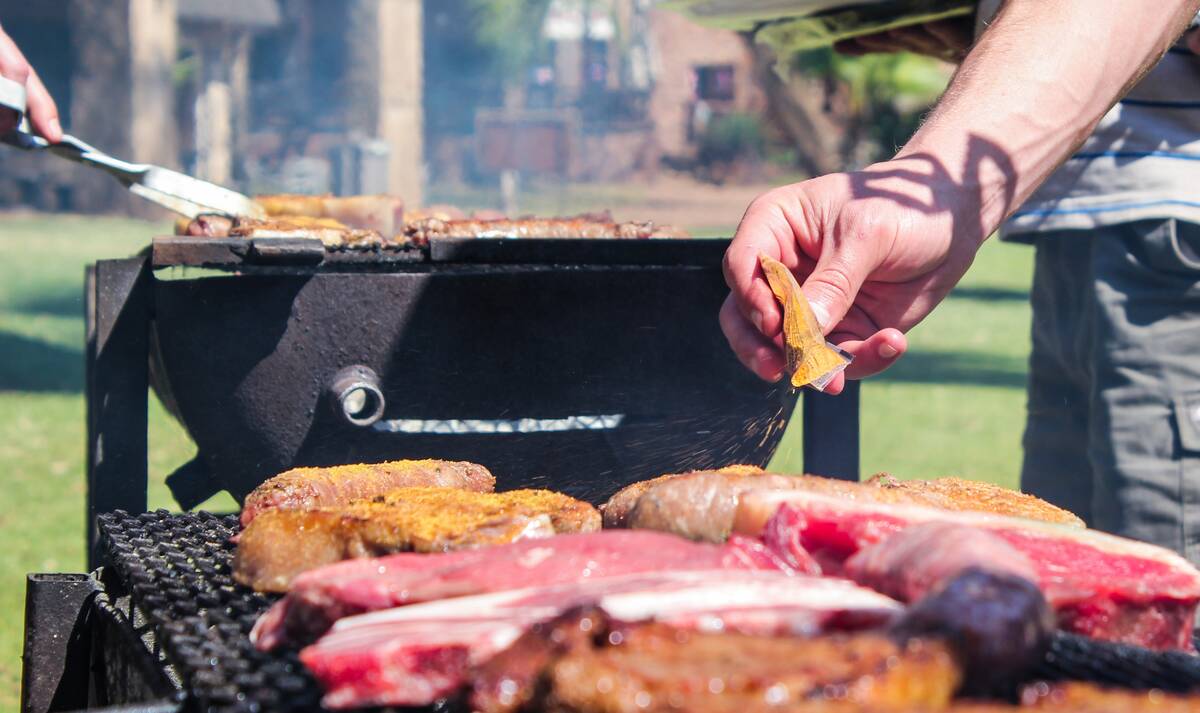 Braai meats on the fire